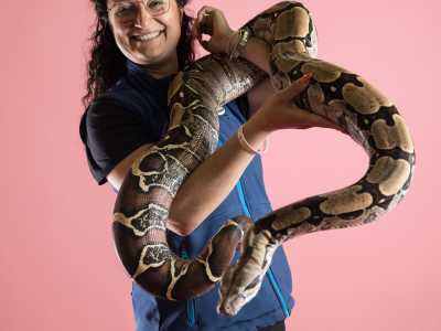 ... e persino grossi serpenti